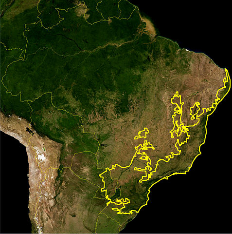 Mapa da mata Atlântica